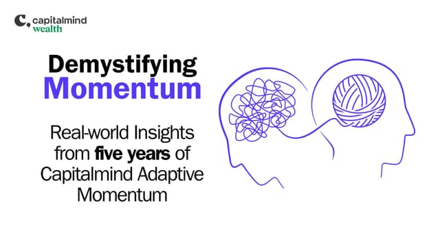 Demystifying Momentum